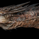 Illustration for article titled Gorgeous Smaug concept art shows all the scaly details from emThe Hobbit/em